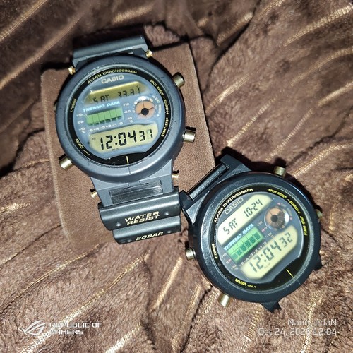Casio shock 6100 prima - g-shock, dw-6100